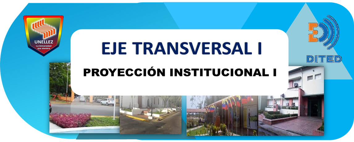 Proyección Institucional