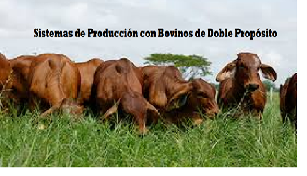 Sistemas de Bovinos de doble propósito