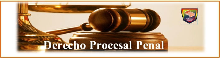 Derecho Procesal Penal