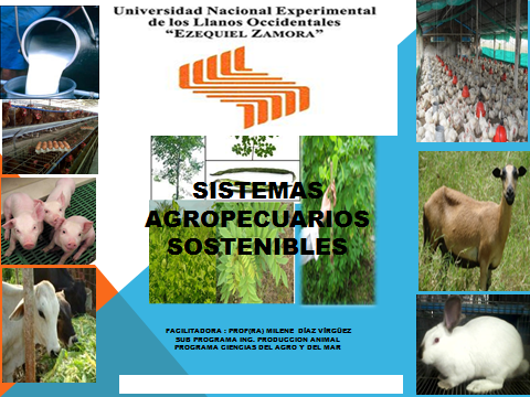 Sistemas Agropecuarios Sostenibles