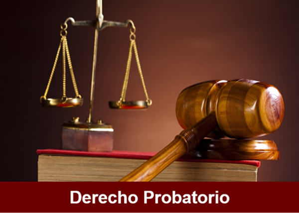 Derecho Probatorio 