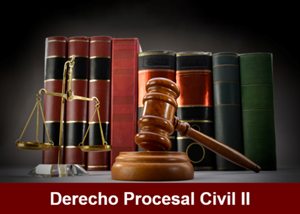 Derecho Procesal Civil II 